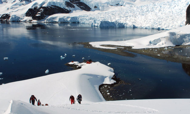 Ce que vous devez avoir dans votre valise pour un voyage en Antarctique